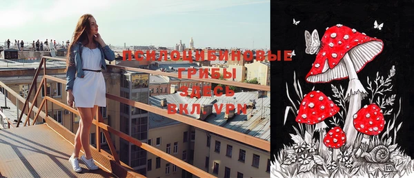 ALPHA PVP Баксан