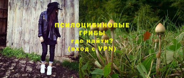 бошки Балахна