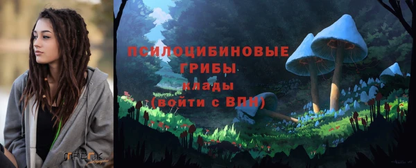 бошки Балахна