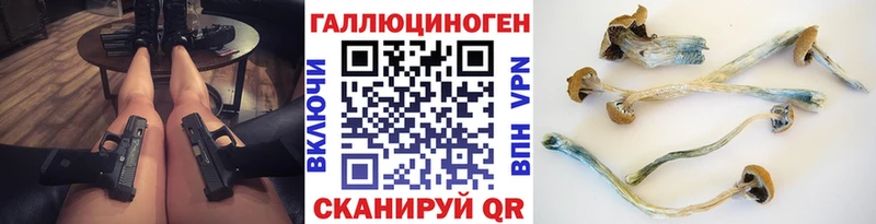 где найти наркотики  Черняховск  Псилоцибиновые грибы мицелий 
