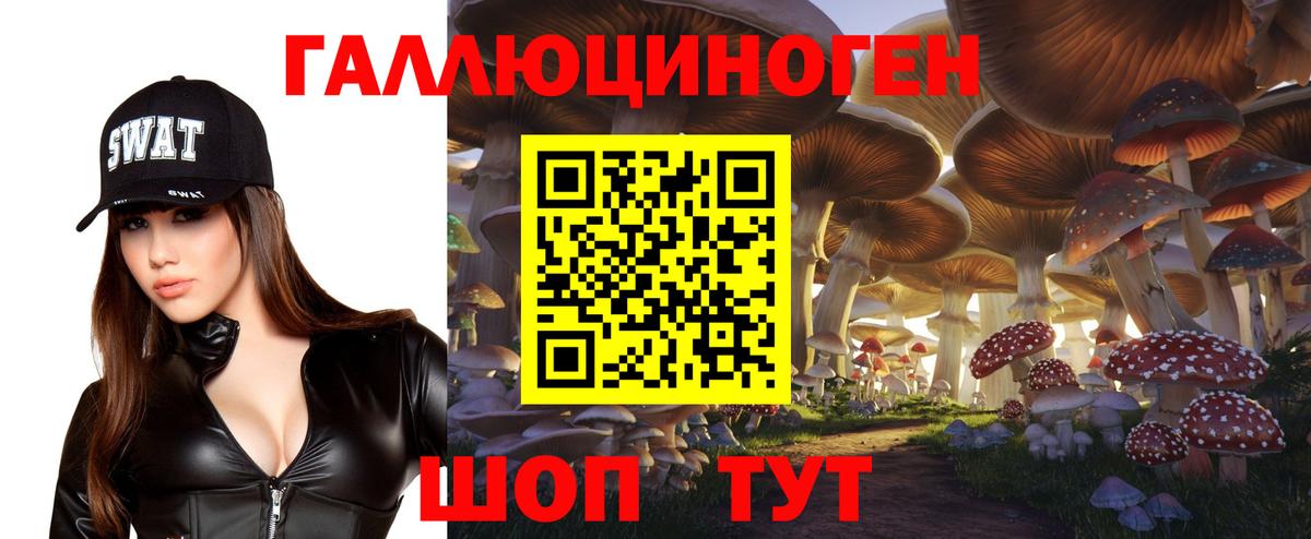 Галлюциногенные грибы Psilocybine cubensis Черняховск