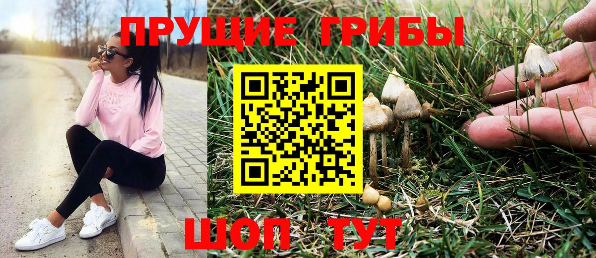 Галлюциногенные грибы GOLDEN TEACHER  Вход с VPN  Черняховск 